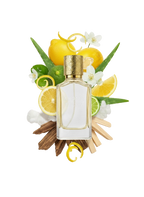 NR:115 Queen of Persia